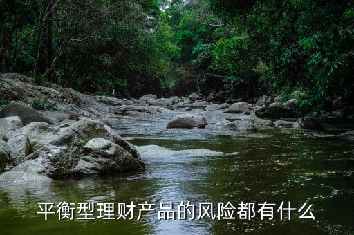 理才客戶風(fēng)險(xiǎn)平衡型是什么意思，平安銀行評(píng)估平衡型是什么意思