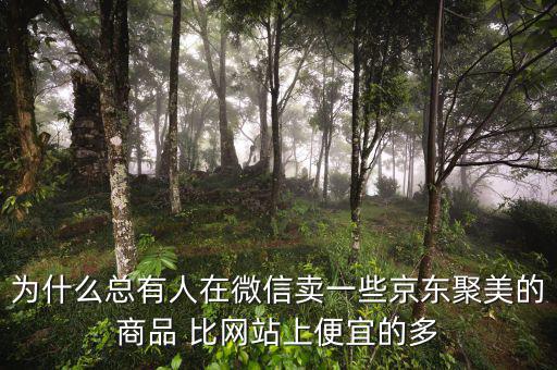 為什么聚美的價(jià)格便宜，聚美優(yōu)品怎么這么便宜