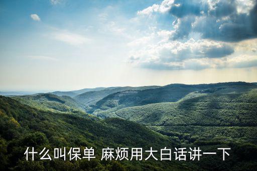 什么是保單，什么是保單