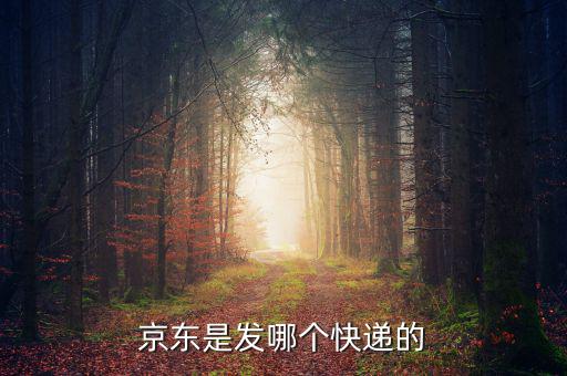 京東自營是發(fā)什么快遞，京東的自營產(chǎn)品一般發(fā)什么物流先謝謝大家了