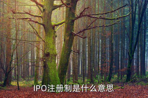 ipo注冊制是什么意思，IPO注冊制是什么意思和審批制有什么區(qū)別