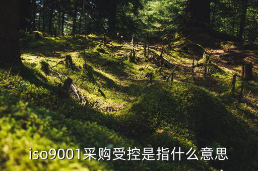 采購(gòu)流程的雙控體系是什么意思，iso9001采購(gòu)受控是指什么意思