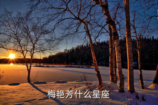 中國著名女企業(yè)家都是什么星座，中國歷史上有名的女強人是什么星座