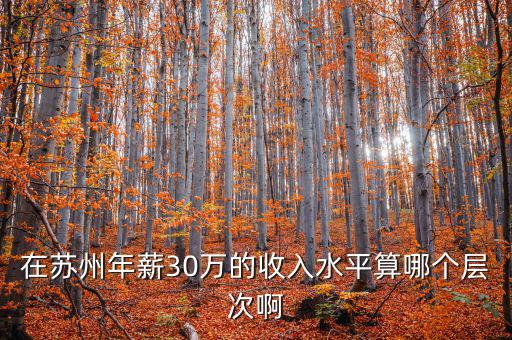 年薪三十萬元處于什么階層，在蘇州年薪30萬的收入水平算哪個(gè)層次啊