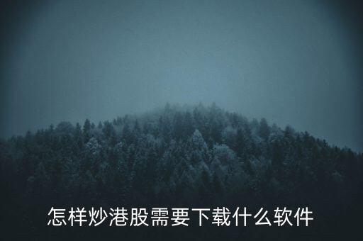 港股資金進(jìn)出用什么軟件，現(xiàn)在內(nèi)地的炒股滬港通用什么軟件
