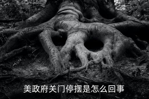 為什么美國政府關門，美國國會為什么關門