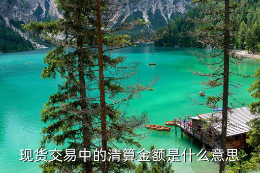 清償金額什么意思，現(xiàn)貨交易中的清算金額是什么意思