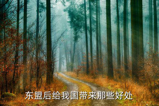 中國加入東盟有什么好處，東盟后給我國帶來那些好處