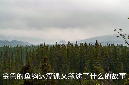 金這篇課文是一篇什么文，金子這篇課文使我們懂得了什么道理