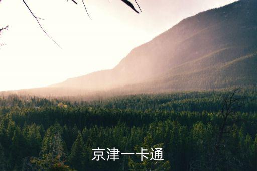 京津冀公交卡一體卡是什么樣子的，在北京辦的藍(lán)色的公交卡是可以在石家莊所有公交用了嗎還是說京津