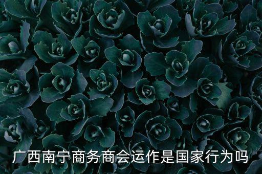 南寧什么時候打擊傳銷，廣西南寧有傳銷嗎