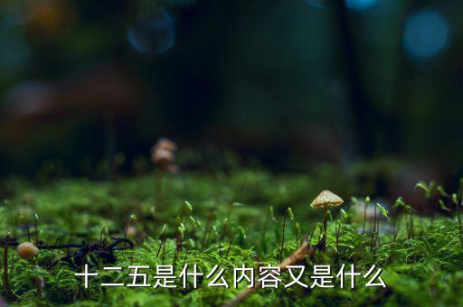 十二五干什么，十二五是什么內(nèi)容又是什么