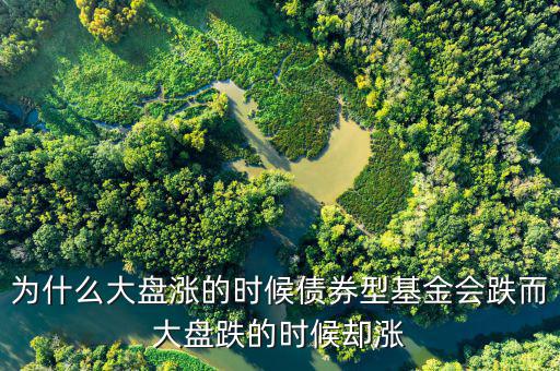為什么大盤跌基金漲，為啥大盤漲基金反而跌基金又漲
