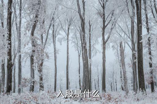 什么叫入股，入股是什么