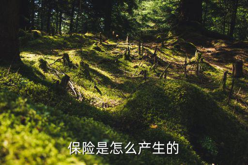 保險(xiǎn)的原理是什么，保險(xiǎn)是怎么產(chǎn)生的