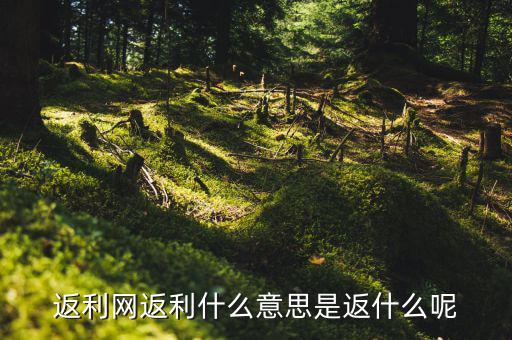 返傭網(wǎng)是什么意思，返傭網(wǎng)大概是什么意思