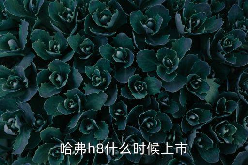 哈佛h8什么時(shí)候上市的，哈弗h8什么時(shí)候上市
