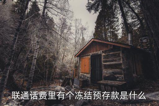 凍結(jié)預(yù)存款是什么意思，聯(lián)通話費(fèi)里有個(gè)凍結(jié)預(yù)存款是什么
