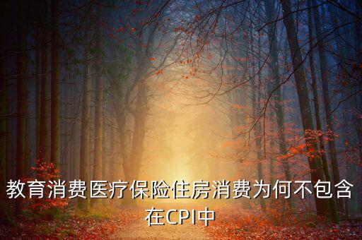 房價(jià)為什么不納入cpi，為什么在中國房價(jià)不算入CPI消費(fèi)水平也就是物價(jià)里面