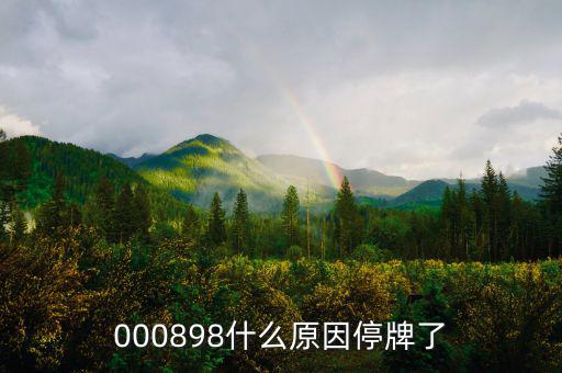 華資實業(yè)為什么停牌，000009今天為何停牌