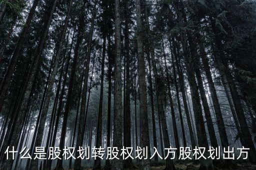 劃轉(zhuǎn)是什么意思，什么是股權(quán)劃轉(zhuǎn)股權(quán)劃入方股權(quán)劃出方