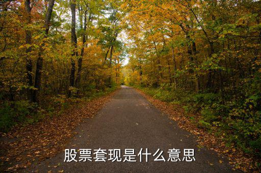 股票套現(xiàn)什么意思，股票當(dāng)中的套現(xiàn)是什么意思