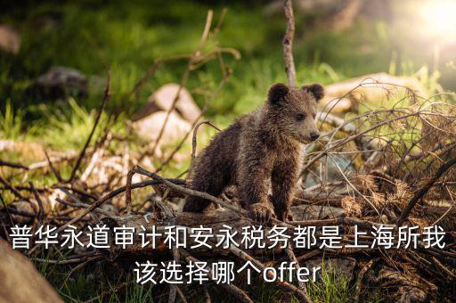 為什么選擇安永稅務(wù)，普華永道審計(jì)和安永稅務(wù)都是上海所我該選擇哪個(gè)offer