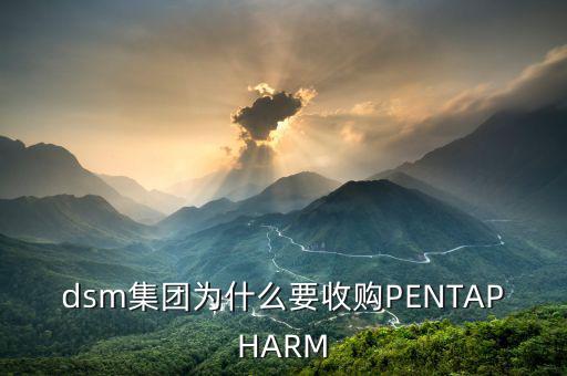 喜游國(guó)際被什么公司并購(gòu)，DSM據(jù)說(shuō)收購(gòu)了一個(gè)特牛的公司是什么大家有知道的嗎