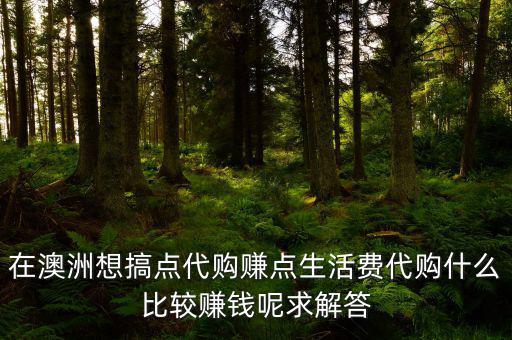 國(guó)外代購(gòu)什么利潤(rùn)大，代購(gòu)什么產(chǎn)品最賺錢