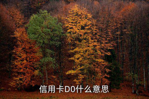 預(yù)付卡的贖回是什么意思，信用卡D0什么意思