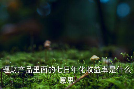 7日年化收益率是什么意思，7日年收化益率是啥意思