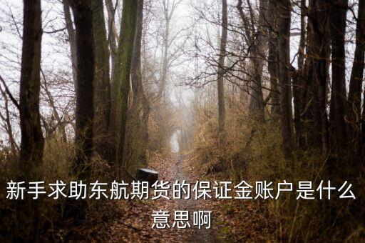 金保證財富管理和東航什么關系，國鼎旗下的可溯貸資金安全嗎
