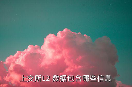 股票l2什么意思，股票標(biāo)示 融 深股通 L1是什么意思