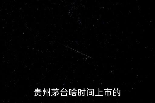 貴州茅臺(tái)什么時(shí)候上市，貴州茅臺(tái)啥時(shí)間上市的