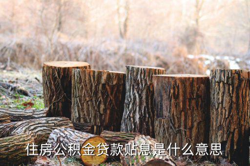 政采貸什么意思，住房公積金貸款貼息是什么意思