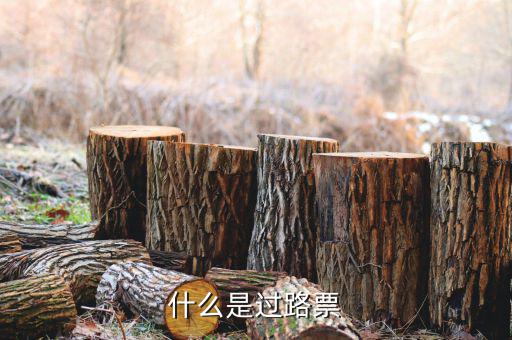 什么是過票行為，使用較消過的發(fā)票是什么行為