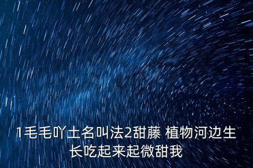 安徽有個什么林紙業(yè)，坐幾路公交車去安徽華泰林漿紙有限公司