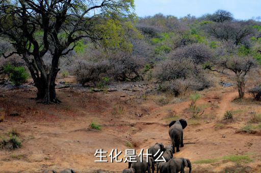 長(zhǎng)安生化是什么呢，生化是指什么呀