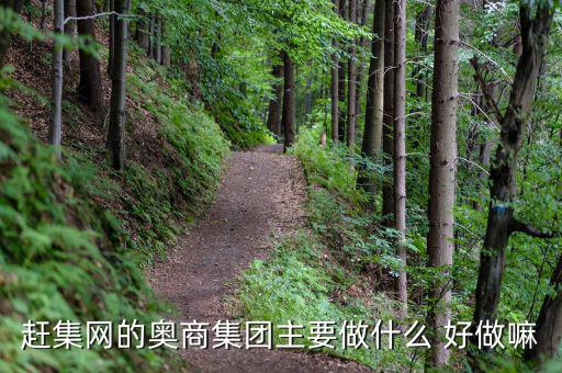 奧骨集團是做什么的，趕集網(wǎng)的奧商集團主要做什么 好做嘛