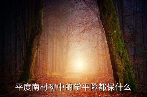 學平險保些什么，中國人壽60元的學平險保什么
