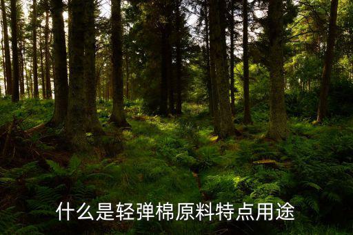清彈棉是什么意思，彈棉花是什么意思