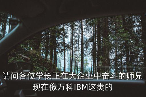 請問各位學長正在大企業(yè)中奮斗的師兄現(xiàn)在像萬科IBM這類的