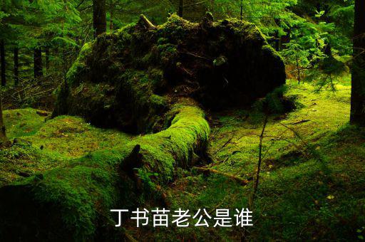 丁書苗和劉志軍什么關(guān)系，丁羽心和劉志軍認(rèn)識(shí)10年 花多少錢都不吝嗇
