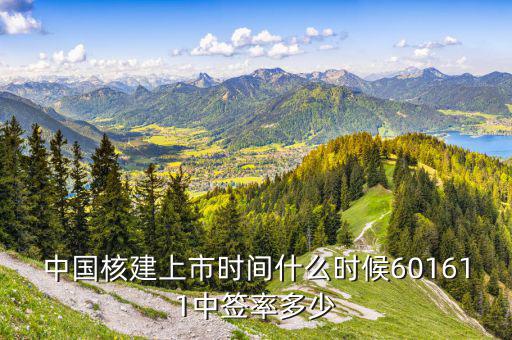 核建申購什么時候上市，中國核建上市時間什么時候601611中簽率多少