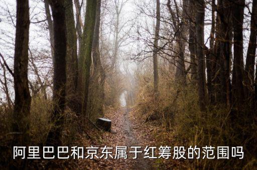 紅籌股是什么意思，權(quán)重股紅籌股