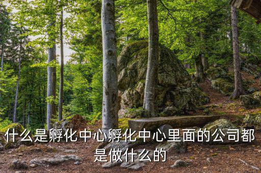 信隆實業(yè)是做什么的，什么是孵化中心孵化中心里面的公司都是做什么的