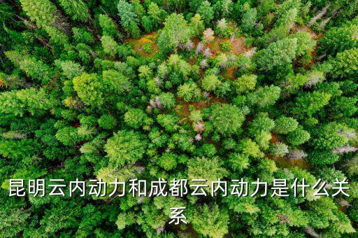 云南云內(nèi)動(dòng)力是什么性質(zhì)，什么是云內(nèi)發(fā)動(dòng)機(jī)