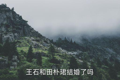 田樸B和王石什么時(shí)候認(rèn)識(shí)的，田樸珺是如何俘獲王石的我看她并不十分漂亮啊