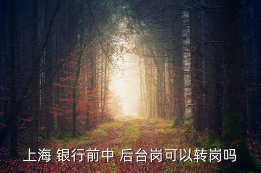 銀行前臺怎么轉(zhuǎn)后臺,銀行分為中央銀行和政策銀行、商業(yè)銀行等