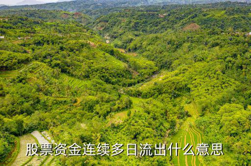 為什么一支股票連續(xù)幾月大單流出，股票資金連續(xù)多日流出什么意思